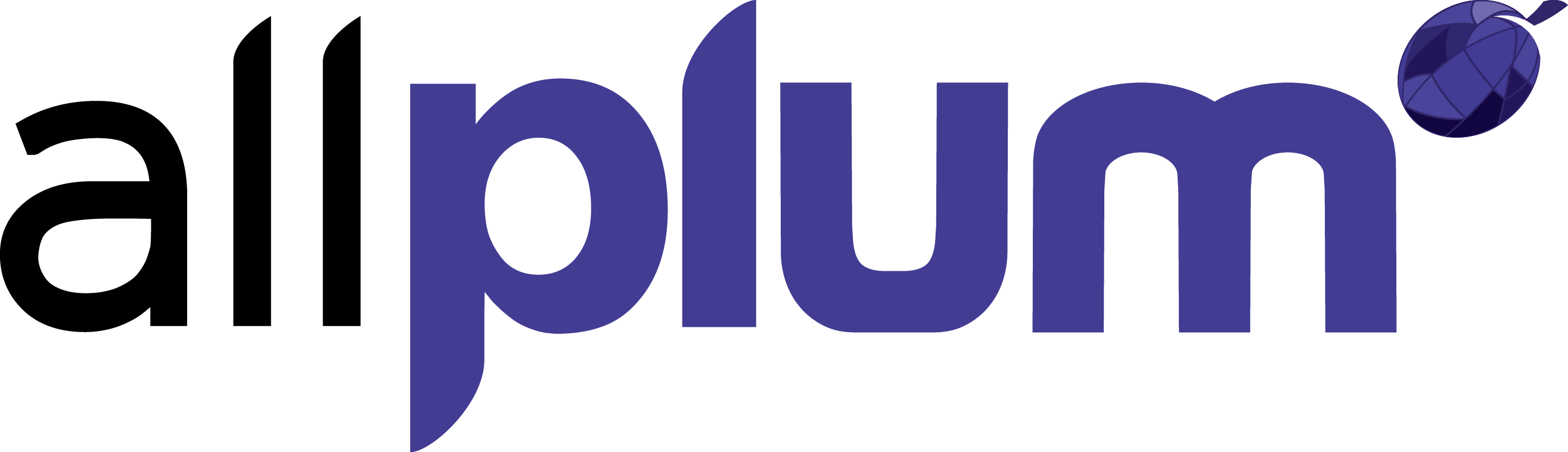 logo allplum g